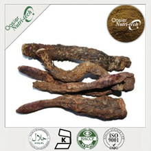 CISTANCHE EXTRACT