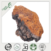 Chaga Extract