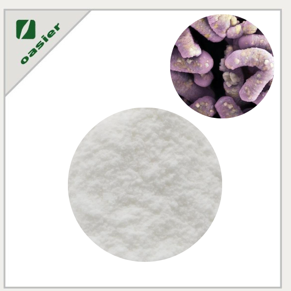 Lacticaseibacillus Casei Freeze-dried Powder